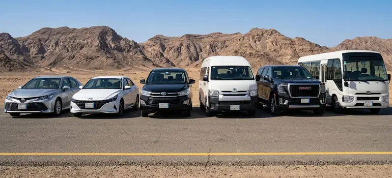 Lineup of private vehicles including sedans, SUVs, minivans, and buses parked along the highway from Jeddah to Madinah.